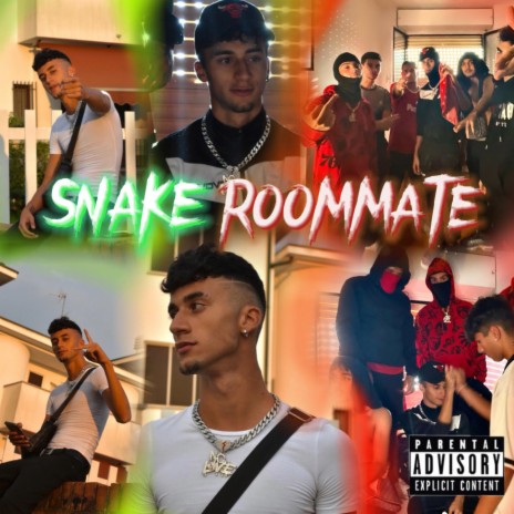 Snake Roommate Freestyle | Boomplay Music