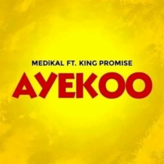 Ayekoo lyrics | Boomplay Music