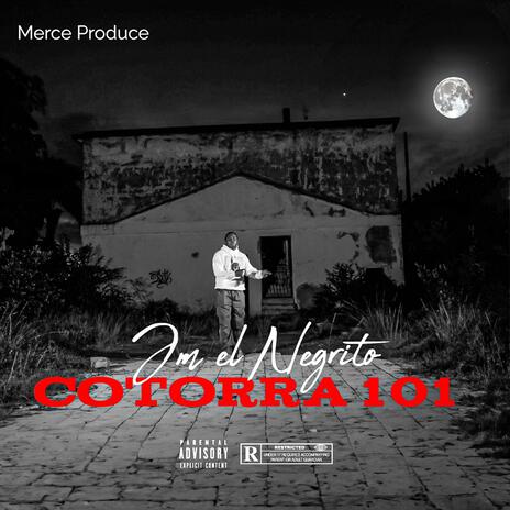 Cotorra 101 | Boomplay Music