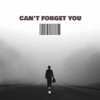 Can't Forget You