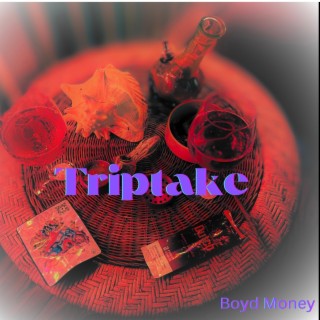 Triptake