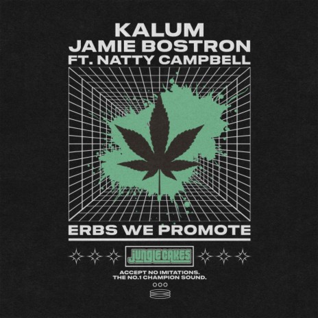 Erbs We Promote (Jungle Instrumental Mix) ft. Jamie Bostron & Natty Campbell | Boomplay Music