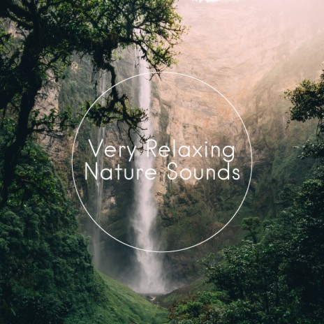 Nature Sounds ft. Echoes of Nature & White Noise Sleep Sounds | Boomplay Music
