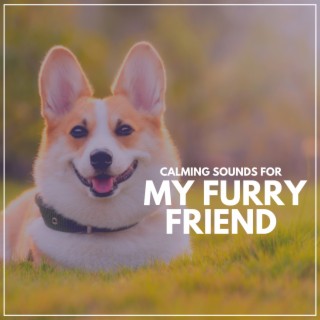 Calming Sounds for My Furry Friend
