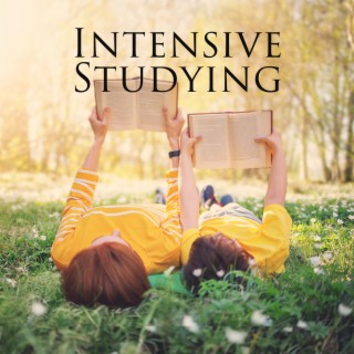 Intensive Studying: Homework Vibes, Calming and relaxing music