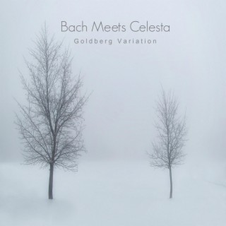 Bach Meets Celesta - Goldberg Variation