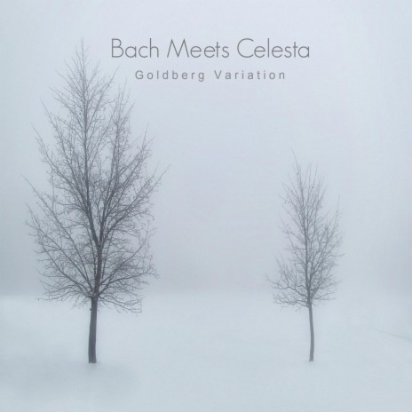 Goldberg Variation in G Major, Bwv 988: Variation 27. Canone alla Nona. a 2 Clav.