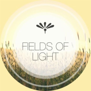 Fields of Light
