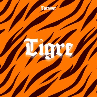 Tigre