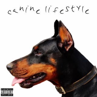 Canine Lifestyle