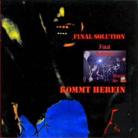 Final Solution (Pere Ubu Cover) | Boomplay Music