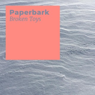 Broken Toys