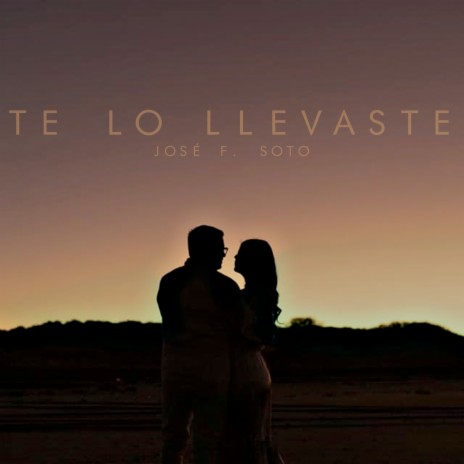 Te Lo Llevaste | Boomplay Music