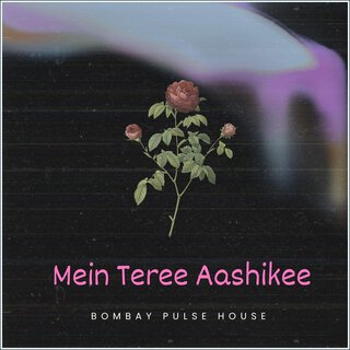 Mein Teree Aashikee