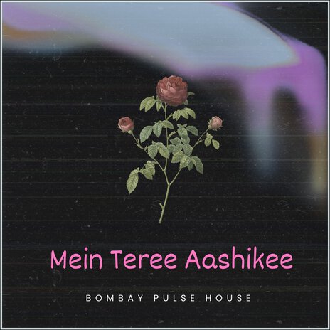 Mein Teree Aashikee | Boomplay Music