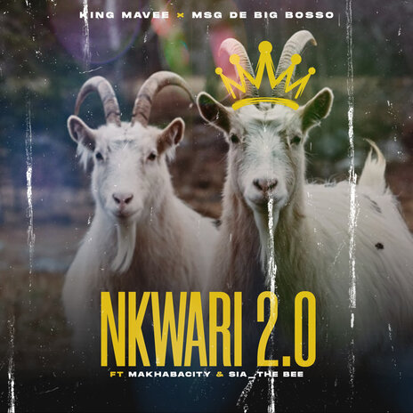 Nkwari2.0 ft. Msg de big bosso, Sia_Thebee & MakhabaCity | Boomplay Music