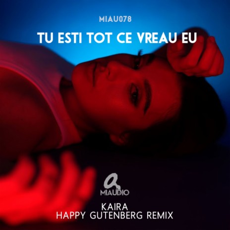 Din Vise Nu Mi Te Ia Nimeni (Happy Gutenberg Remix) | Boomplay Music