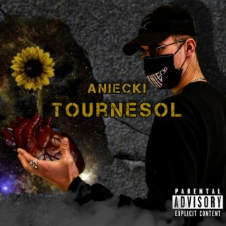 Tournesol lyrics | Boomplay Music