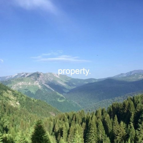 property | Boomplay Music