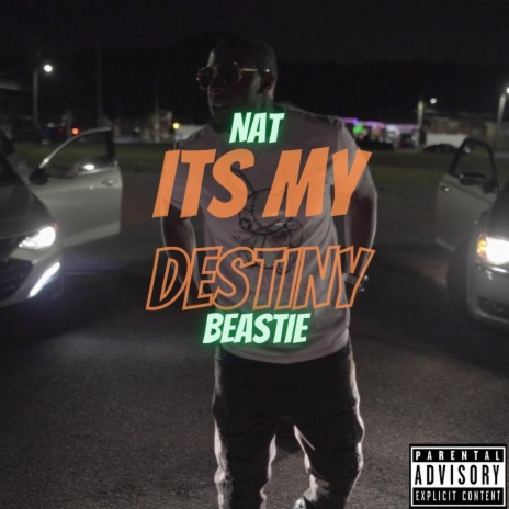 Its My Destiny | Boomplay Music