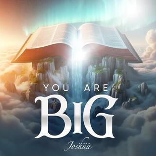 You Are Big lyrics | Boomplay Music