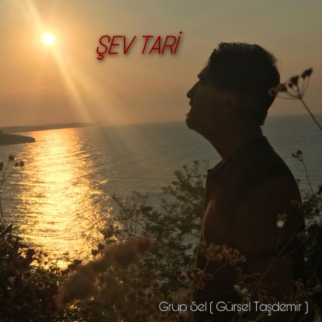 Şev Tari | Boomplay Music