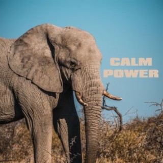 Calm Power