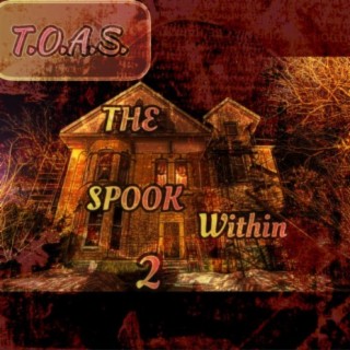 T.O.A.S. The Spook Within 2