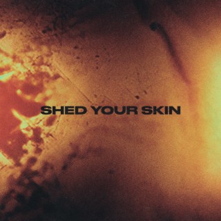 Shed Your Skin lyrics | Boomplay Music