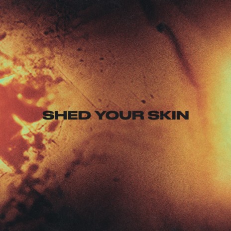 Shed Your Skin