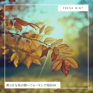 柔らかな秋の朝〜ウォーキング用BGM