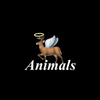 Animals lyrics | Boomplay Music