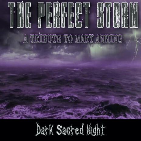 The Perfect Storm | Boomplay Music