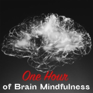 One Hour of Brain Mindfulness