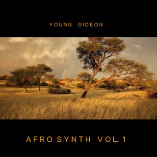 AFRO SYNTH VOL 1
