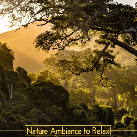 Natural Habitats ft. Relaxation and Meditation & Nature Sounds Artists