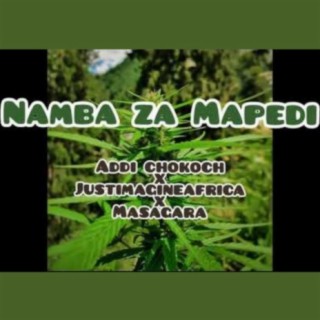 Namba Za Mapedi
