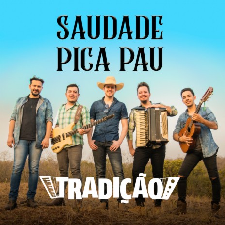 Saudade Pica-Pau | Boomplay Music