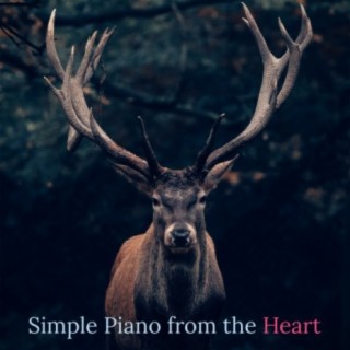 Simple Piano from the Heart