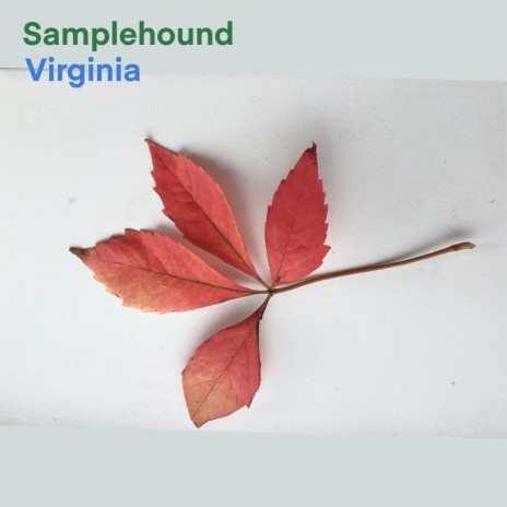 Virginia