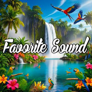 Favorite Sound lyrics | Boomplay Music