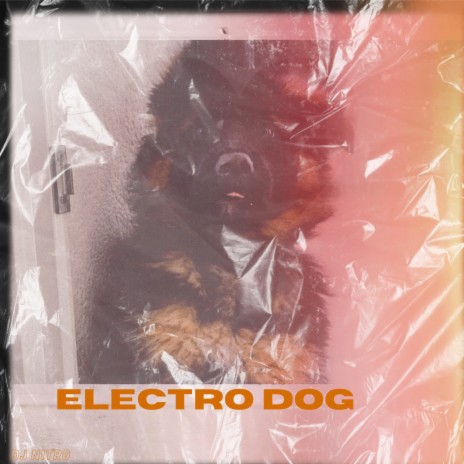 Electro Dog | Boomplay Music