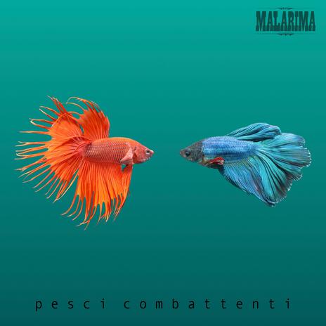 Re della pista | Boomplay Music