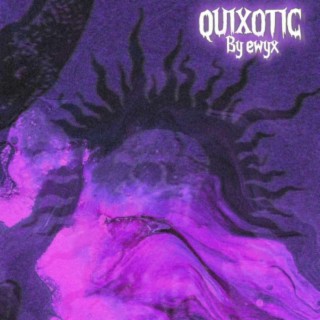 QUIXOTIC