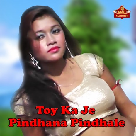 Toy Ka Je Pindhana Pindhale | Boomplay Music