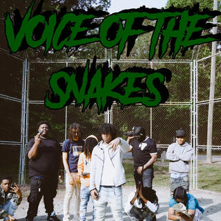 Voice of the snakes