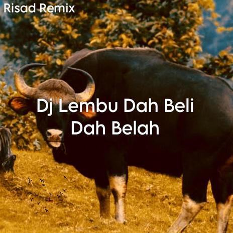 DJ Lembu Dah Beli Dah Belah Mengkane | Boomplay Music