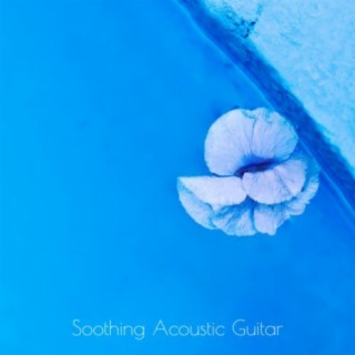 Soothing Acoustic Guitar
