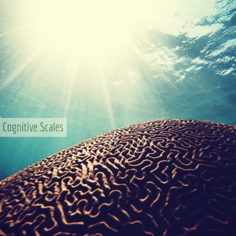 Mindfulness ft. Thinking Music World & Alpha Brain Waves