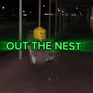 Out The Nest